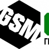Группа компаний GeoSM